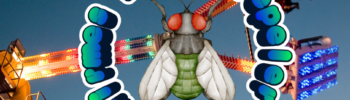 Stiepeler Fliegenkirmes 2026
